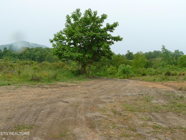 132ACRES Leabow Hollow Rd, Tazewell, TN 37879 - photo 22