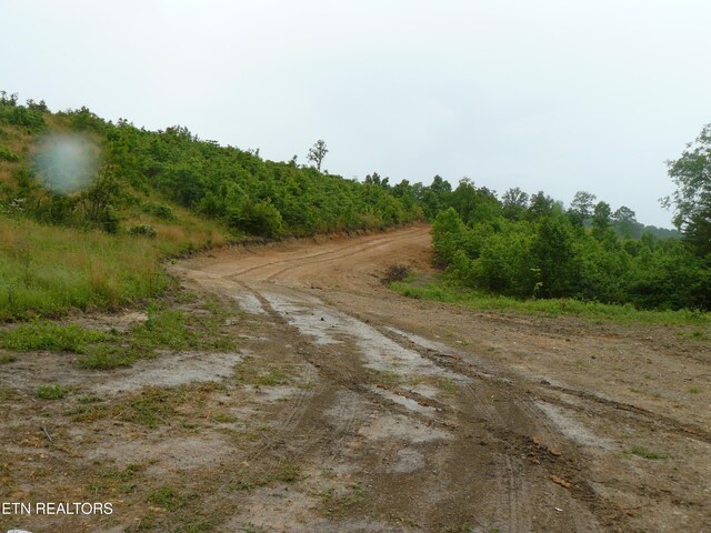 132ACRES Leabow Hollow Rd, Tazewell, TN 37879 - photo 23