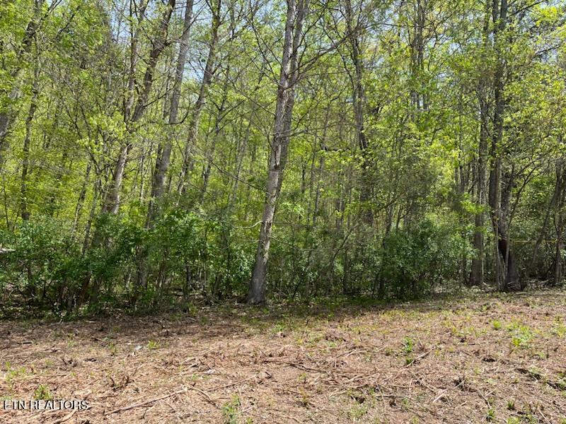 Cabin Rd, Speedwell, TN 37870