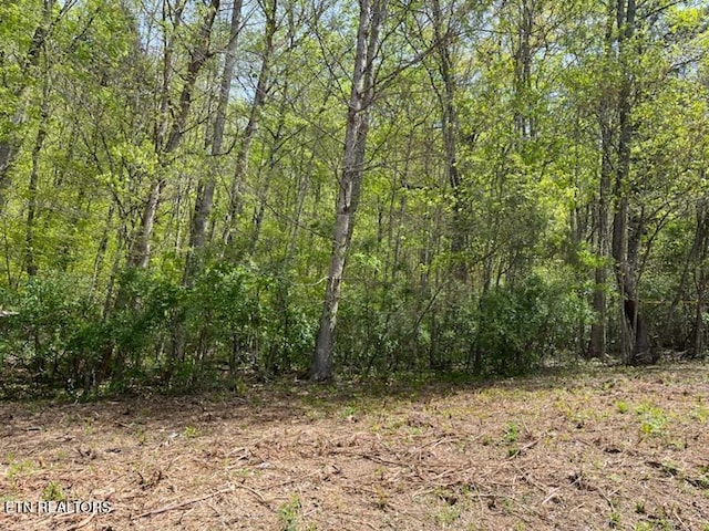 Cabin Rd, Speedwell, TN 37870