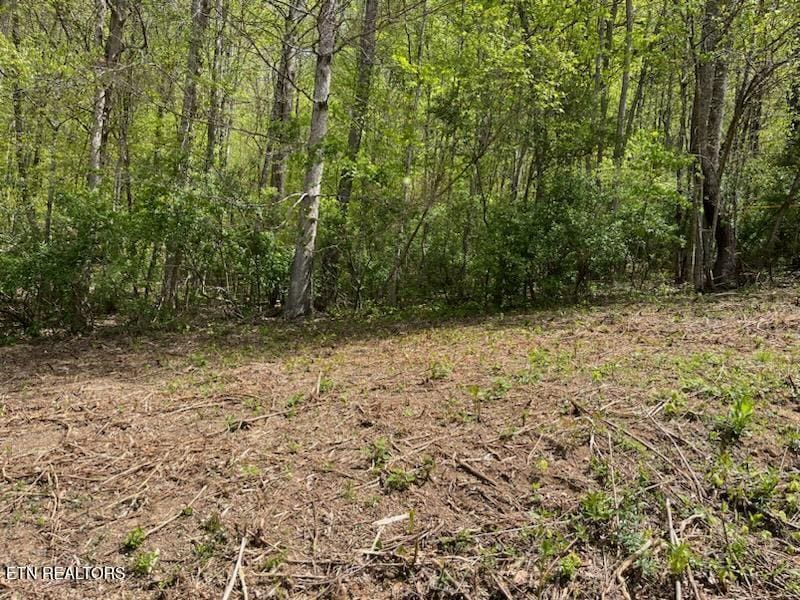 Cabin Rd, Speedwell, TN 37870