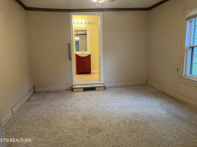 922 W Central Ave, Lafollette, TN 37766 - spare room with a sink, baseboards, ceiling fan, carpet floors, and ornamental molding