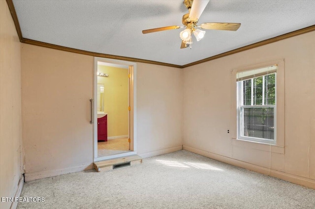 922 W Central Ave, Lafollette, TN 37766 - photo 15