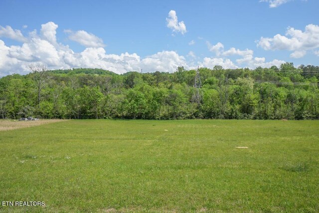 326 Roddy Branch Rd, Rockford, TN 37853 - photo 13