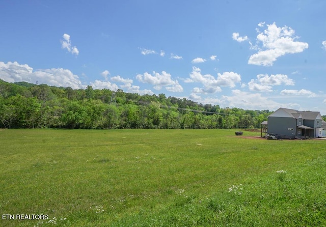 326 Roddy Branch Rd, Rockford, TN 37853 - photo 14