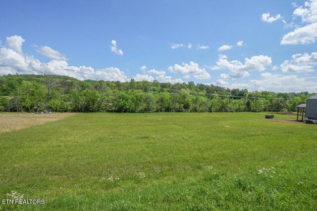 326 Roddy Branch Rd, Rockford, TN 37853 - photo 15