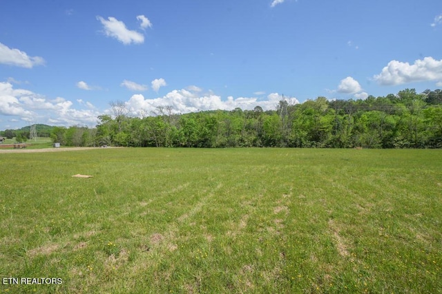 326 Roddy Branch Rd, Rockford, TN 37853 - photo 20