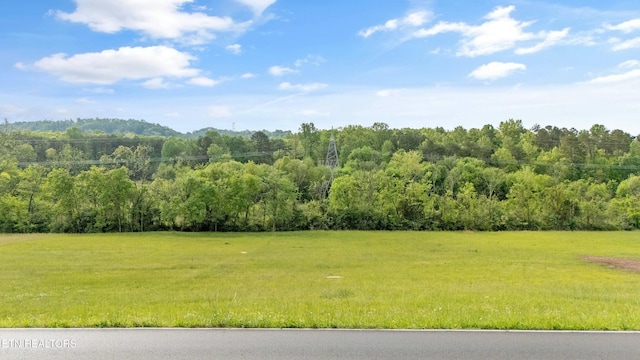 326 Roddy Branch Rd, Rockford, TN 37853 - photo 7