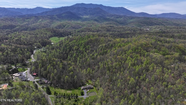 575 Buckhorn Rd, Gatlinburg, TN 37738 - photo 60