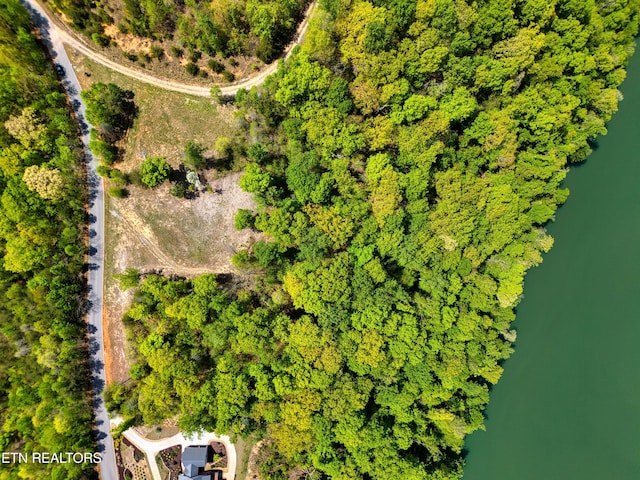 Sheerwater Rd, Kingston, TN 37763 - photo 6