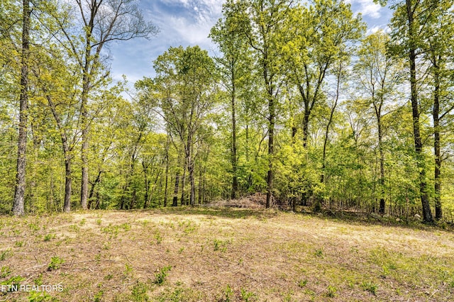 Sheerwater Rd, Kingston, TN 37763 - photo 11