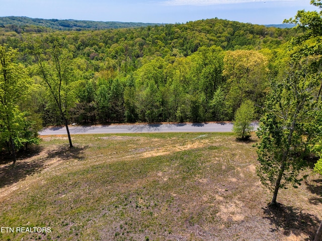 Sheerwater Rd, Kingston, TN 37763 - photo 10
