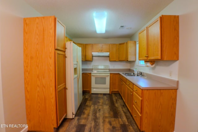 kitchen with white appliances, under cabinet range hood, light countertops, a sink, and dark wood-style floors