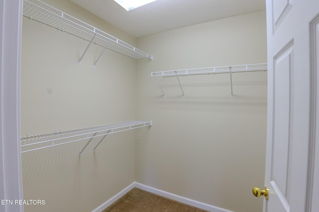 walk in closet with carpet flooring