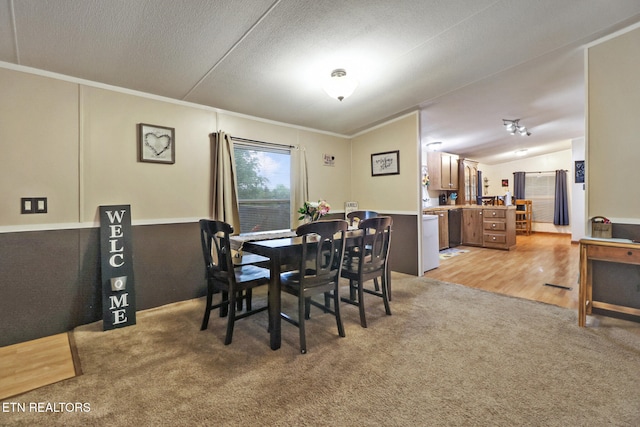 119 Sunset View Dr, Kingston, TN 37763 - dining space with light colored carpet, ornamental molding, and a textured ceiling