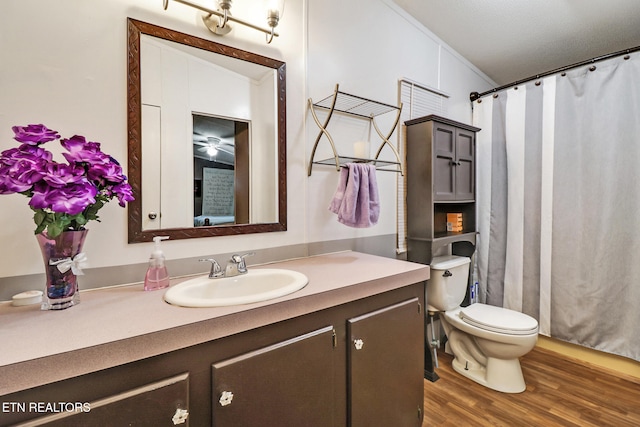 119 Sunset View Dr, Kingston, TN 37763 - bathroom featuring vanity, toilet, wood finished floors, and a shower with curtain