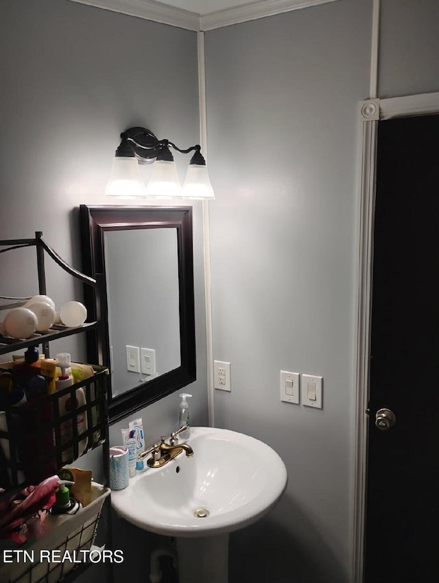 119 Sunset View Dr, Kingston, TN 37763 - bathroom with a sink and crown molding