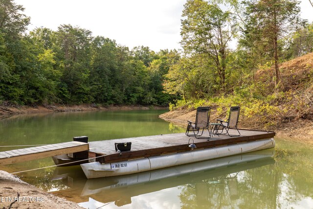 790 Pleasure Rd, Sevierville, TN 37876 - view of dock with a water view and a wooded view
