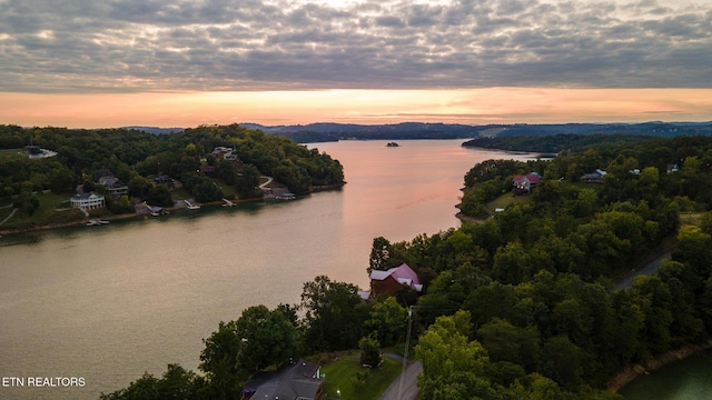 790 Pleasure Rd, Sevierville, TN 37876 - aerial view at dusk with a water view