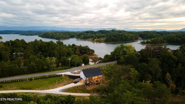 790 Pleasure Rd, Sevierville, TN 37876 - bird's eye view featuring a view of trees and a water view