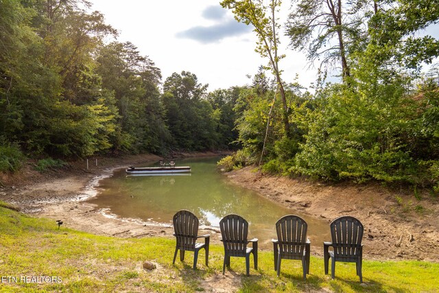 790 Pleasure Rd, Sevierville, TN 37876 - water view with a forest view