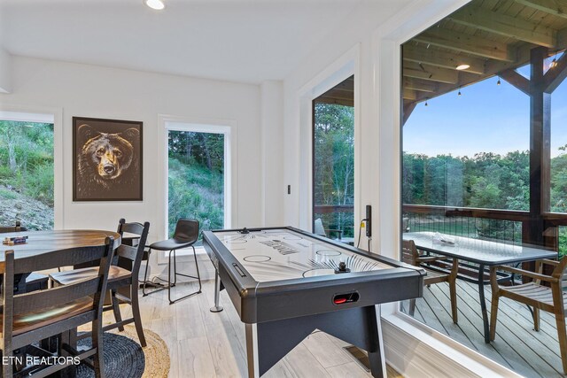 790 Pleasure Rd, Sevierville, TN 37876 - game room featuring plenty of natural light and light wood-style floors