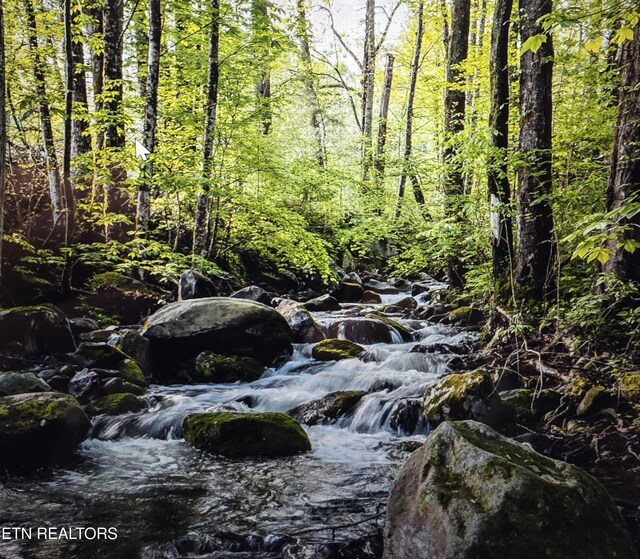 105 Mountain Brook Way, Cosby, TN 37722 - view of landscape featuring a forest view