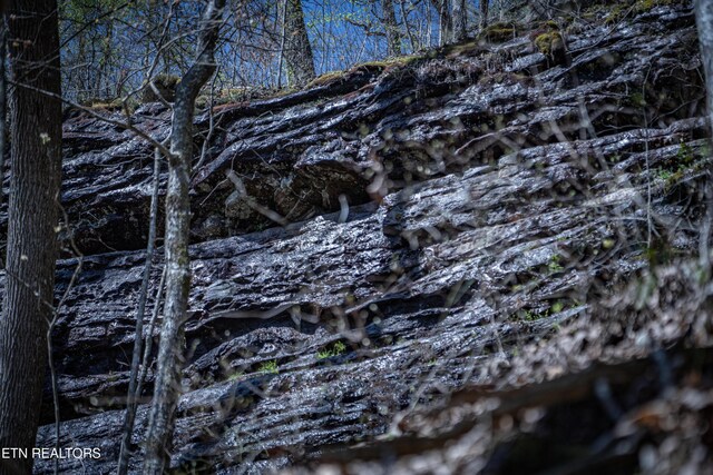 Fall Creek Rd, Rockwood, TN 37854