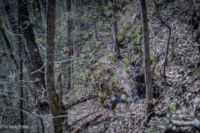 Fall Creek Rd, Rockwood, TN 37854