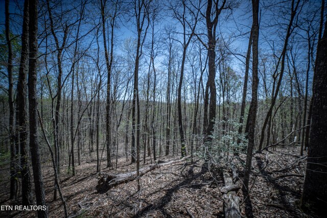 Fall Creek Rd, Rockwood, TN 37854