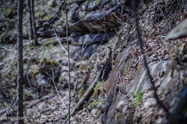 Fall Creek Rd, Rockwood, TN 37854