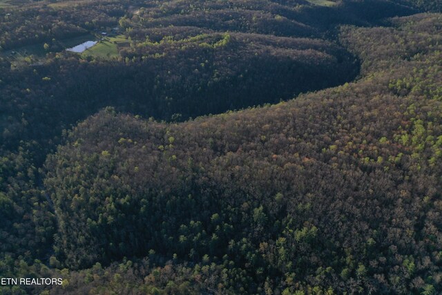 Fall Creek Rd, Rockwood, TN 37854
