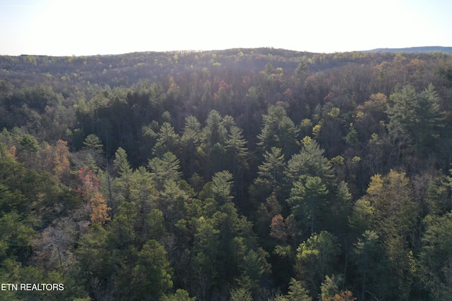 Fall Creek Rd, Rockwood, TN 37854