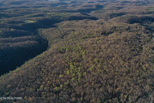 Fall Creek Rd, Rockwood, TN 37854