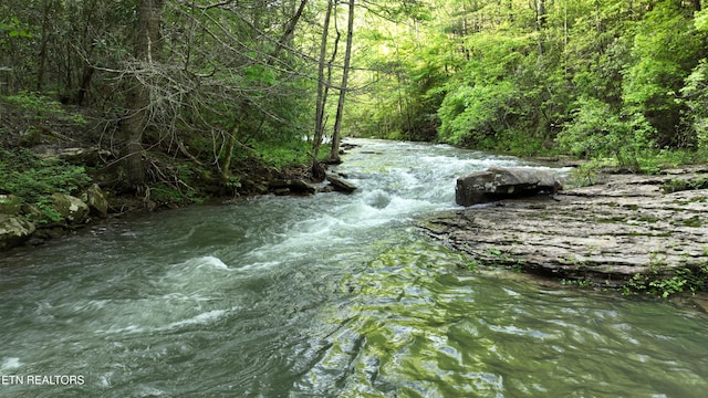 Fall Creek Rd, Rockwood, TN 37854