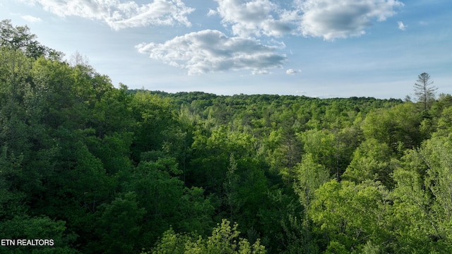 Fall Creek Rd, Rockwood, TN 37854
