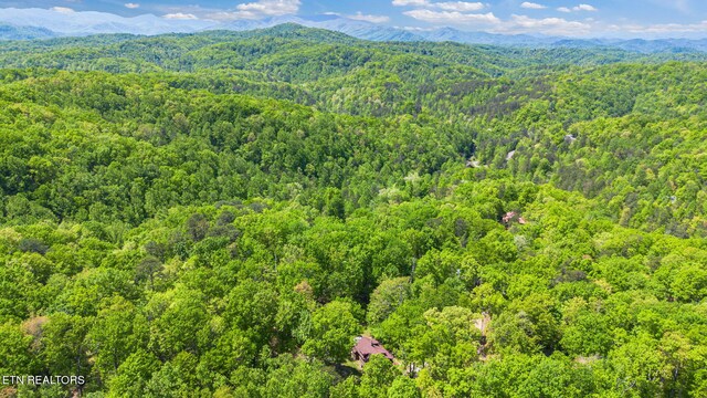 4360 Lakeshore Ave, Sevierville, TN 37876 - birds eye view of property with a view of trees and a mountain view