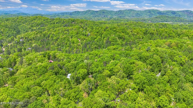 4360 Lakeshore Ave, Sevierville, TN 37876 - aerial view with a mountain view and a wooded view