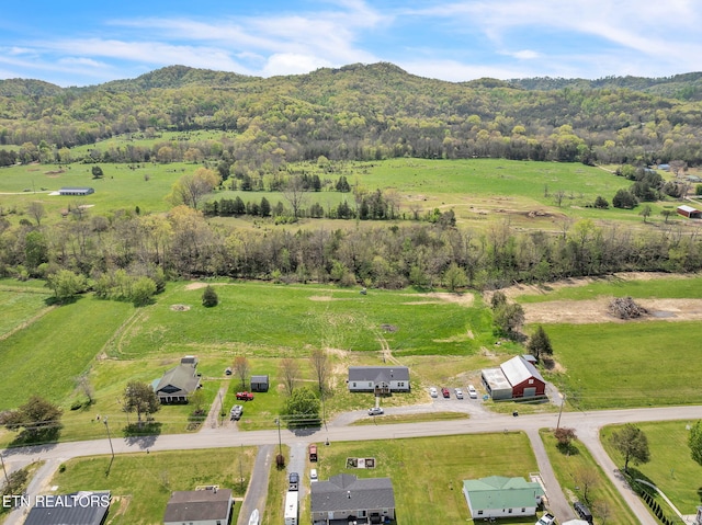 drone / aerial view with a rural view and a mountain view