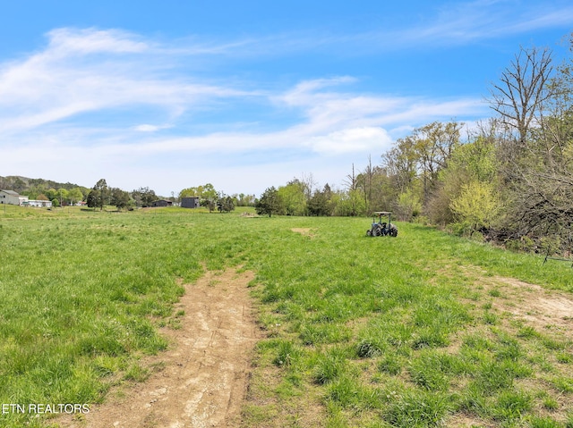 view of yard with a rural view