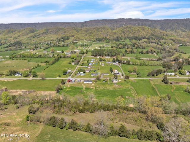 bird's eye view featuring a mountain view and a rural view
