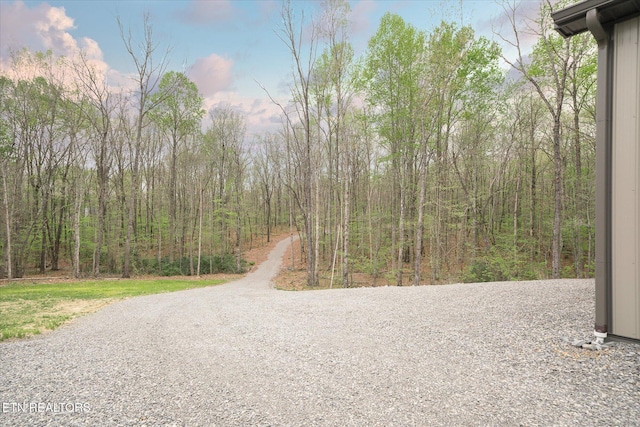 1721 Huckleberry Rd, Monterey, TN 38574 - photo 6