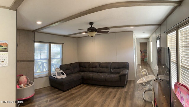 living room with wood finished floors, a wealth of natural light, beam ceiling, and ceiling fan
