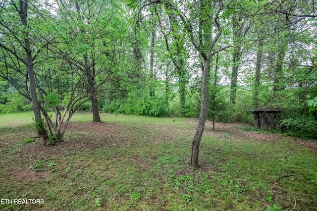 view of yard with a wooded view