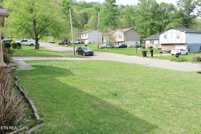 view of yard featuring a residential view and driveway