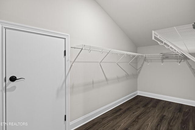 spacious closet with vaulted ceiling and dark wood-style flooring