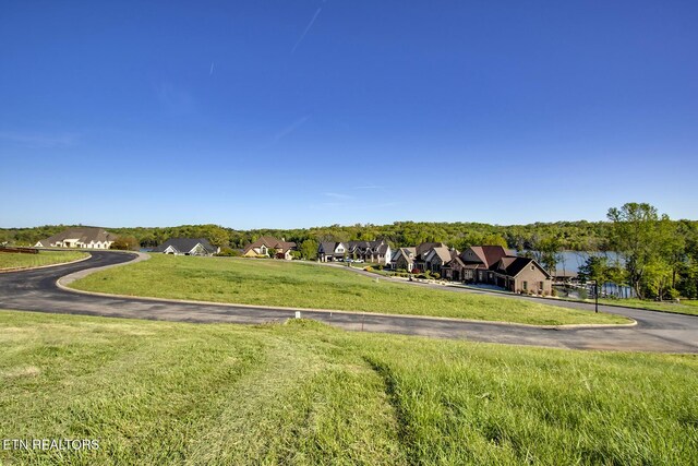 200 Killdeer Dr, Vonore, TN 37885 - photo 3