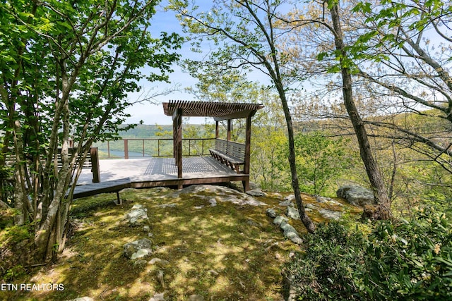 12 S Bluff Rd, Chattanooga, TN 37419 - photo 10