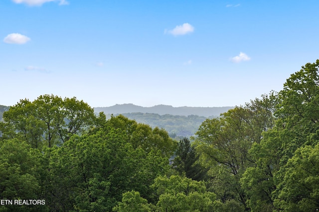 12206 Oakland Hills Pt, Knoxville, TN 37934 - photo 34