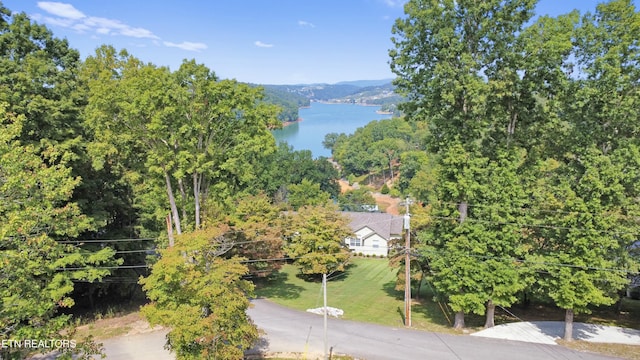 1517 Deerfield Way, Lafollette, TN 37766 - bird's eye view with a water view
